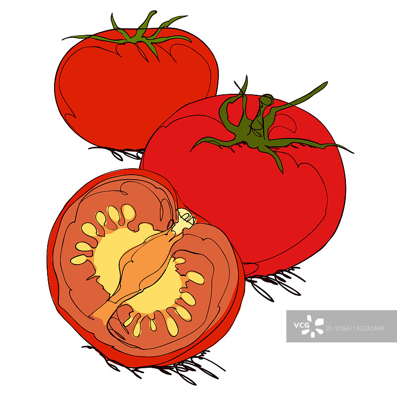 白色背景上的番茄图片素材