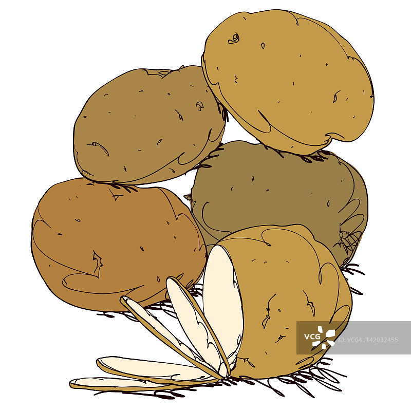 白色背景上的马铃薯图片素材