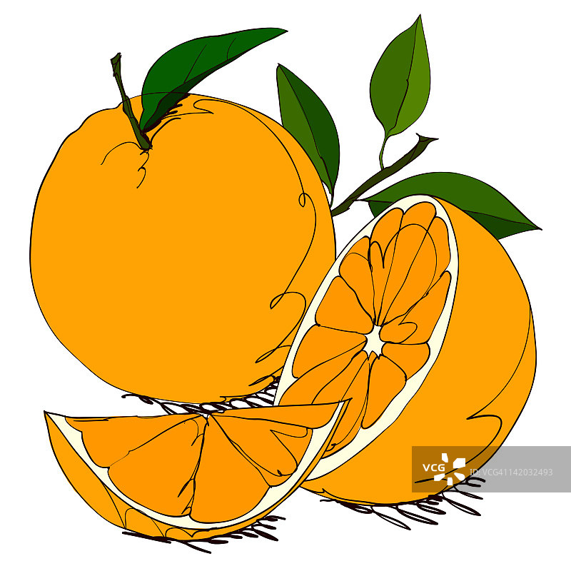 白色背景上的橙子图片素材