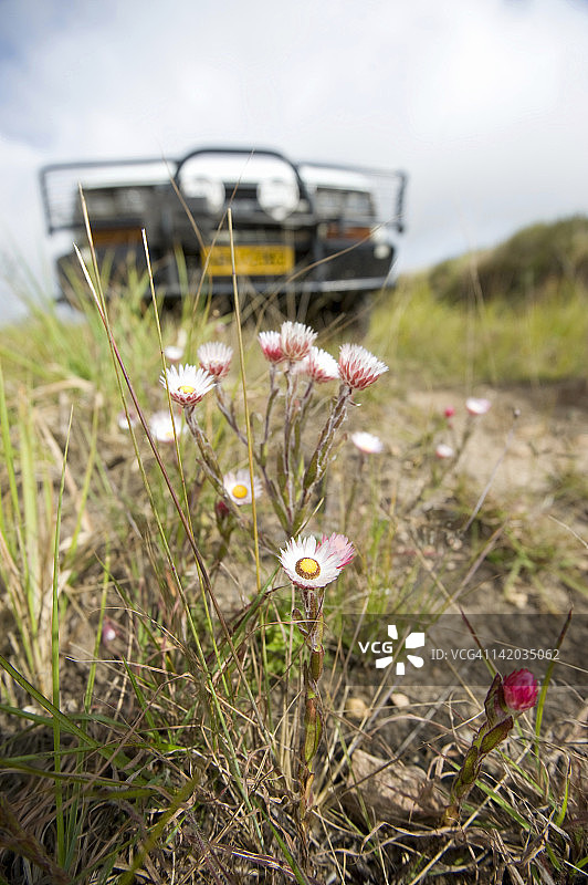 津巴布韦东部高地尼扬加国家公园图片素材