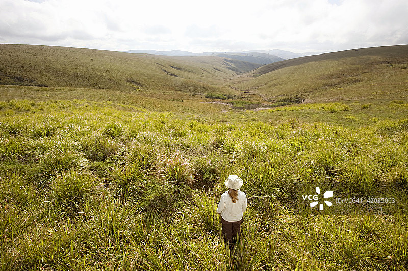 津巴布韦东部高地尼扬加国家公园图片素材