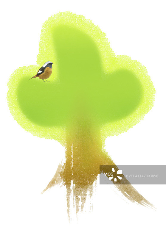 日本文字树和达斡尔红雀图片素材