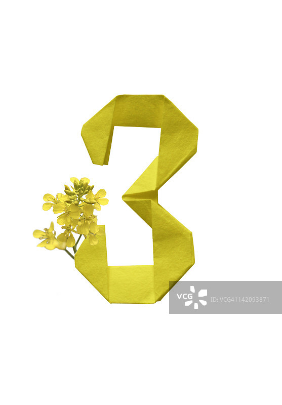 折纸和油菜籽中的数字3图片素材