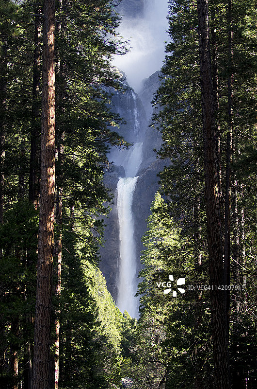 加利福尼亚州优胜美地国家公园下优胜美地瀑布树林景观图片素材