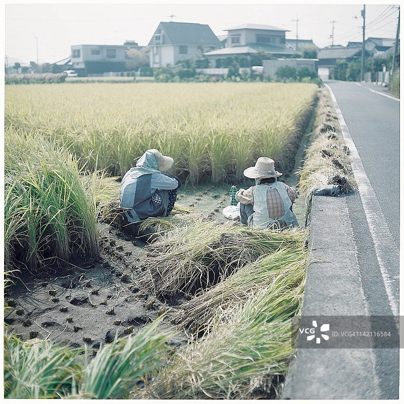 田野里休息的农民图片素材