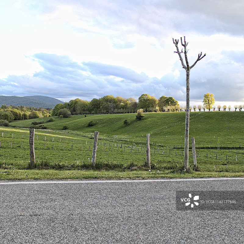 龙塞斯瓦列斯图片素材