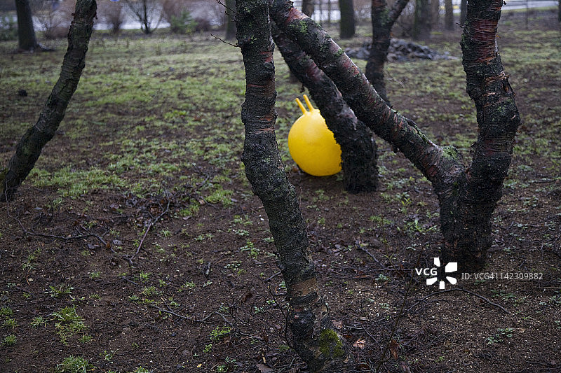 树后半遮的充气玩具图片素材