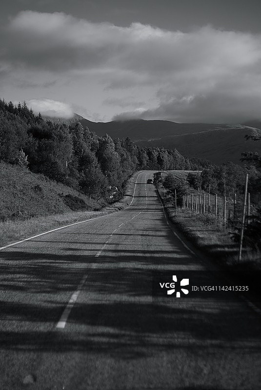 林荫起伏道路图片素材