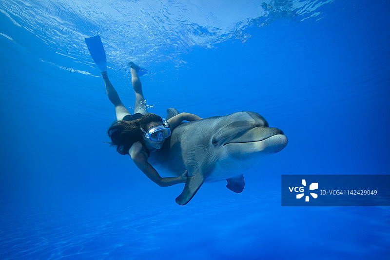 女孩拿着海豚在水下潜水图片素材