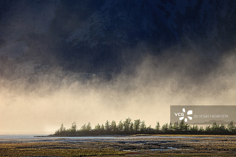 斯利姆斯河边的树木图片素材
