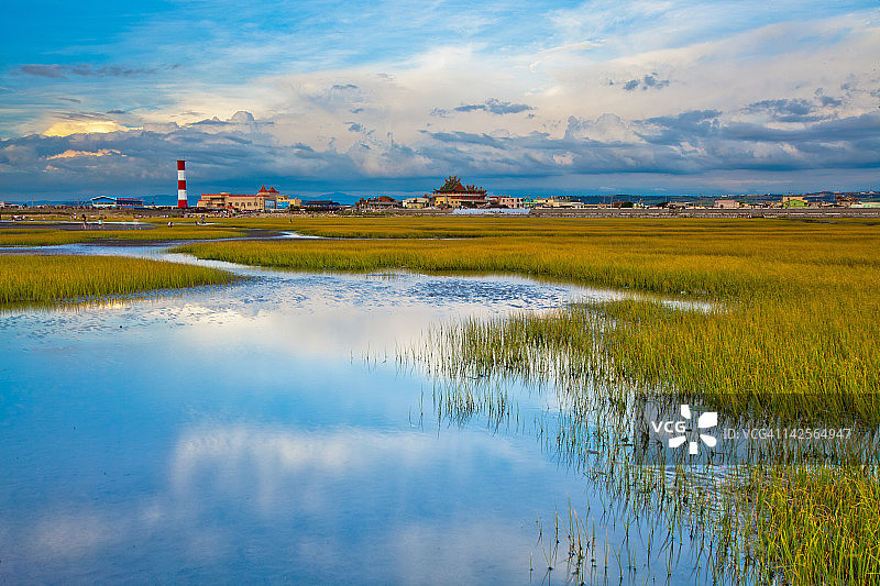 中国台湾高美湿地图片素材