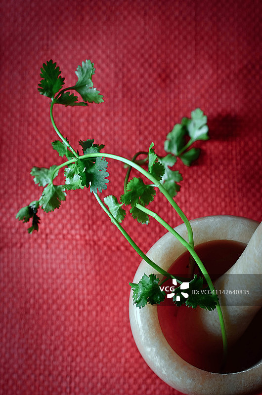 香芹草叶图片素材