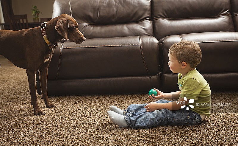 和狗一起玩球的白人男孩图片素材