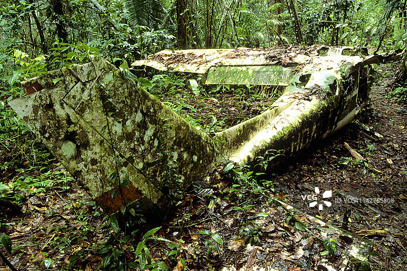 艾伦·拉宾诺维茨飞机残骸图片素材