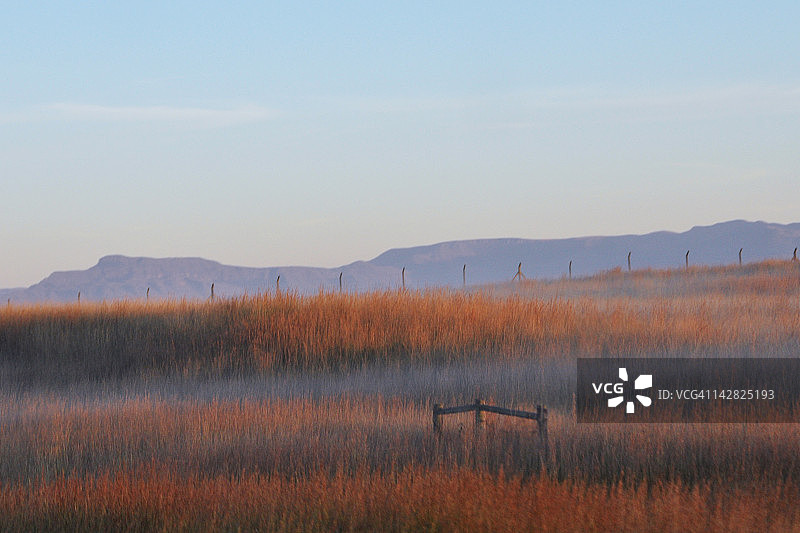 日出时分，雾气笼罩的绵延山丘图片素材