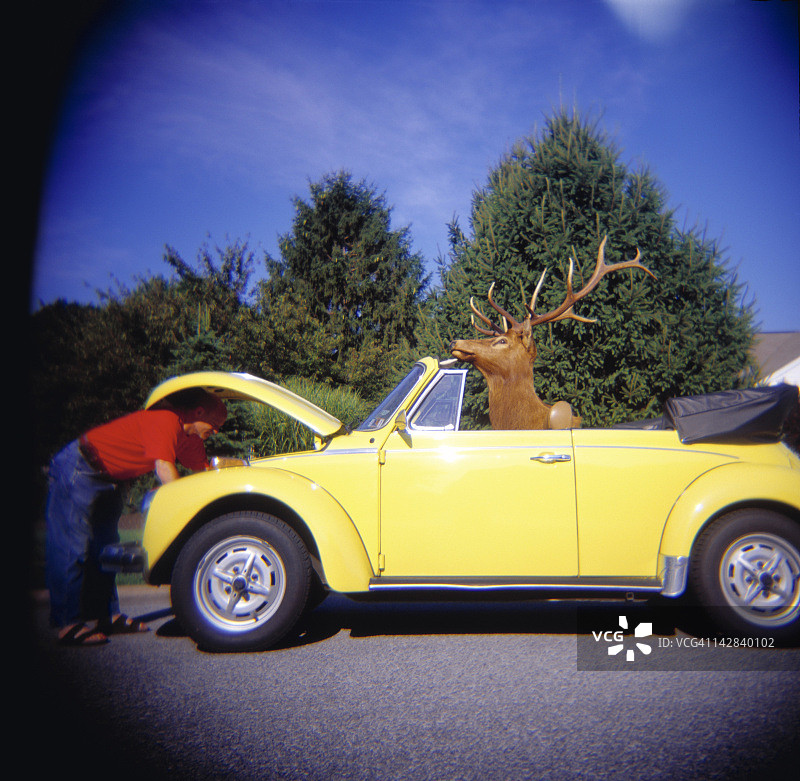 黄色引擎盖下的男人图片素材