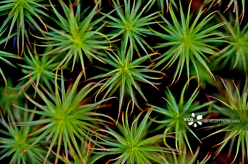 马赛克图片素材