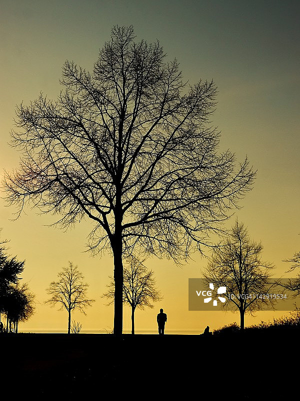 男人站在日落时的树林中图片素材