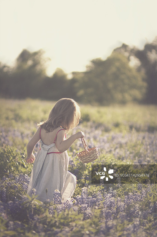 小女孩穿过花田图片素材