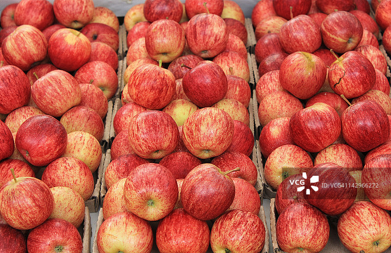 嘎啦苹果图片素材