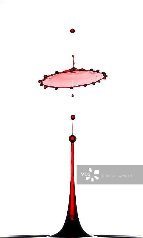 红葡萄藤图片素材