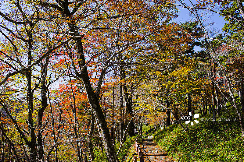秋季山路图片素材