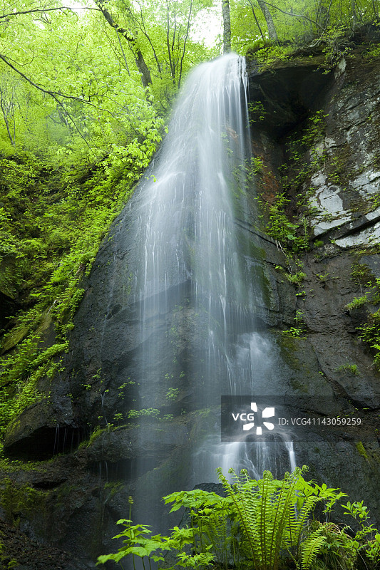 白丝瀑布图片素材