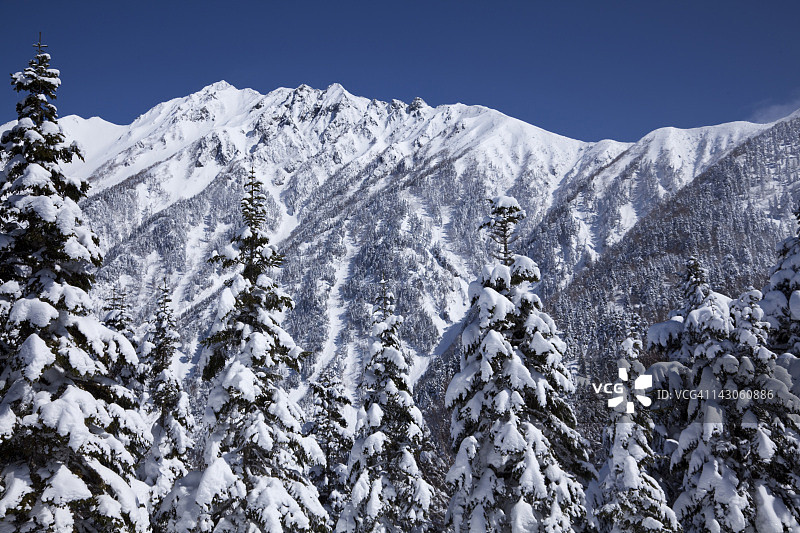 从仙石原眺望枪岳图片素材