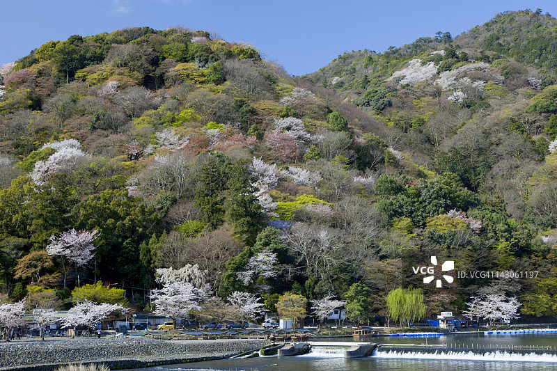 春季渡月桥和保津川图片素材