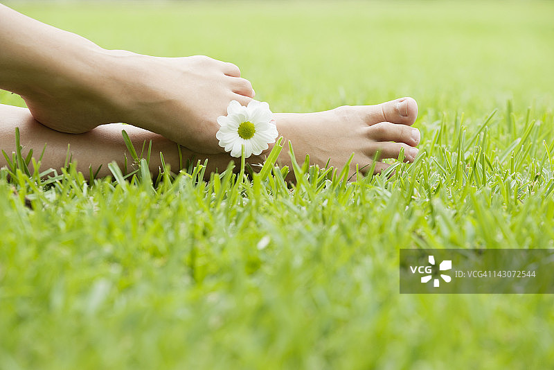 脚趾间夹着鲜花图片素材