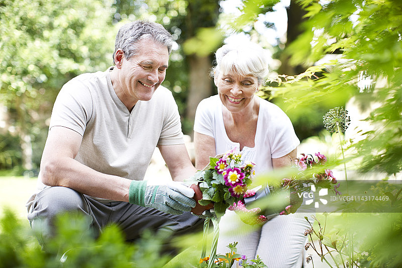 欣赏自然风光图片素材