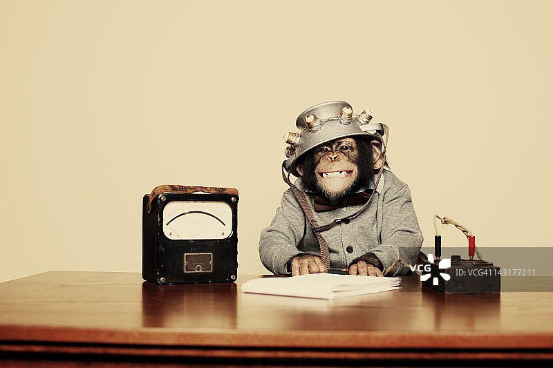 戴着读心头盔的年轻黑猩猩书呆子图片素材