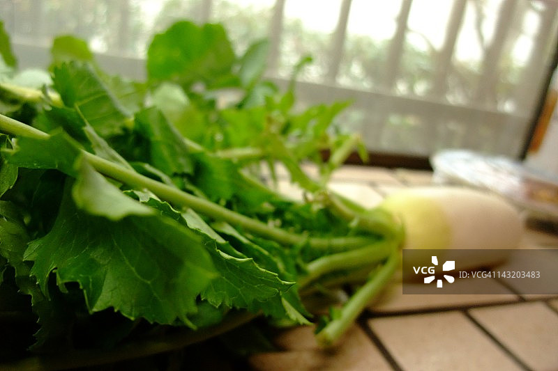 日本萝卜图片素材