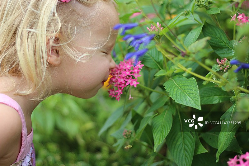 闻花香的小女孩图片素材