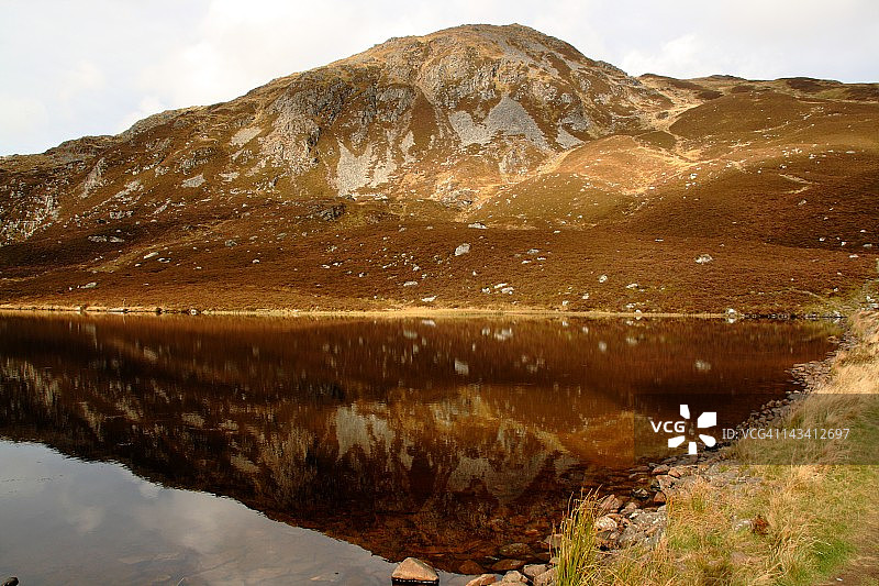 本弗拉基图片素材