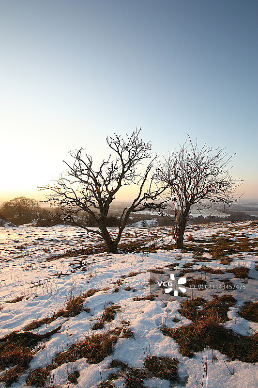 冬季奇尔terns图片素材