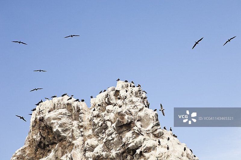 鸟类栖息在白色火山岩顶端图片素材