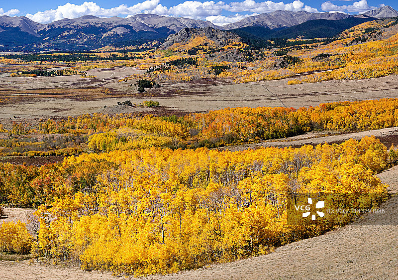 科罗拉多州基诺沙山口的秋叶图片素材