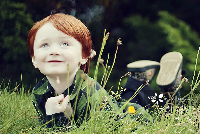 在草地里图片素材