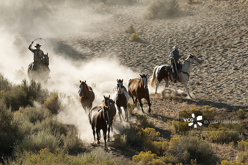 牛仔们图片素材
