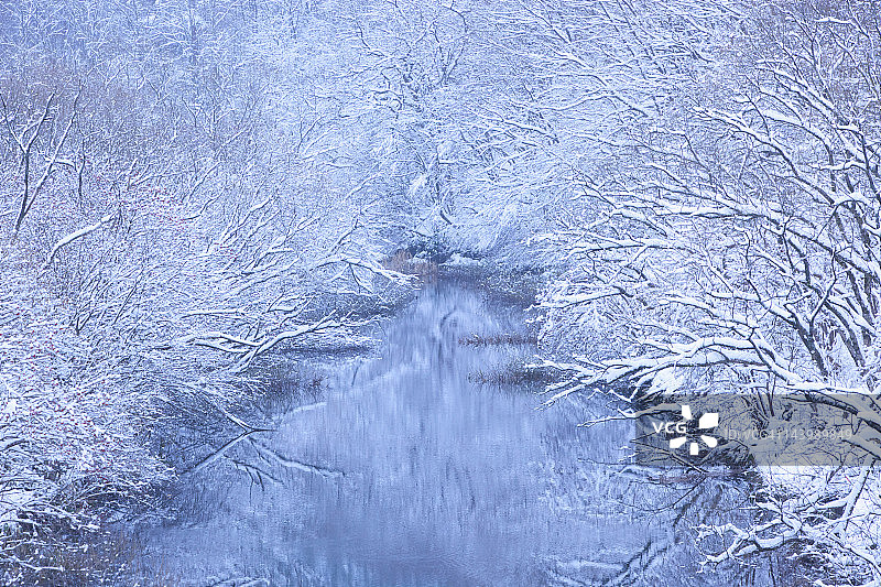 冬季森林湖泊图片素材