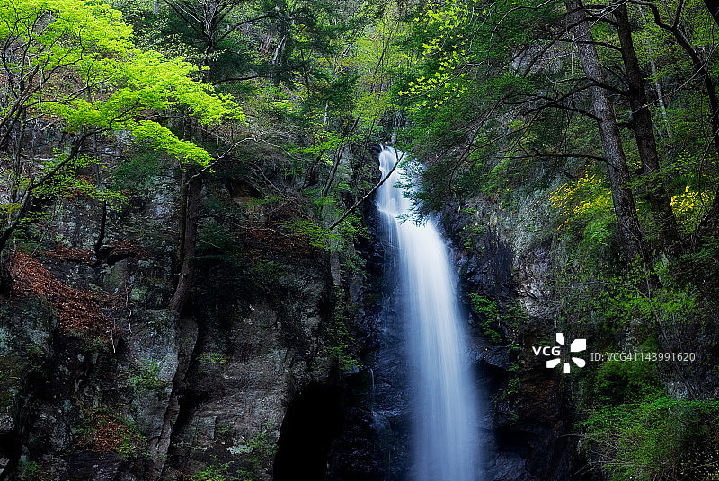 大泷瀑布图片素材