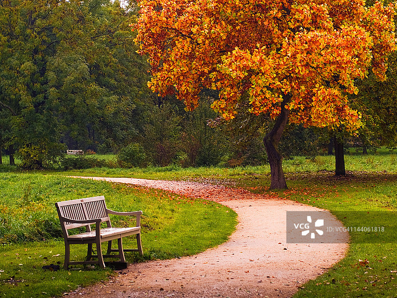 公园里的空长椅图片素材