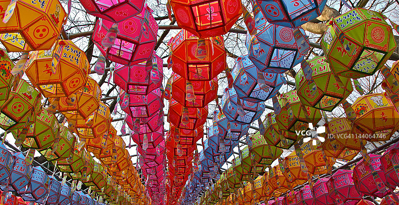 莲花灯节图片素材