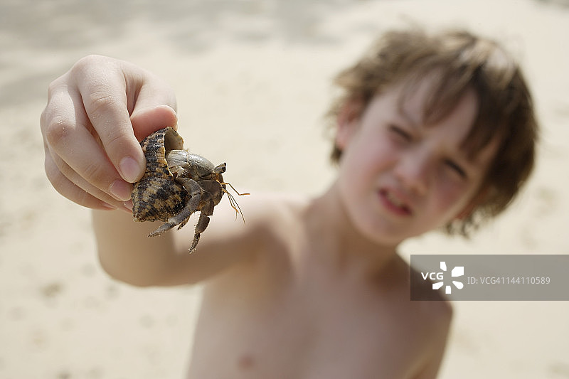 男孩举起一只寄居蟹图片素材