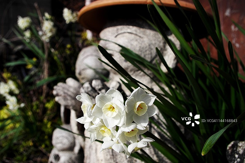 地藏菩萨图片素材