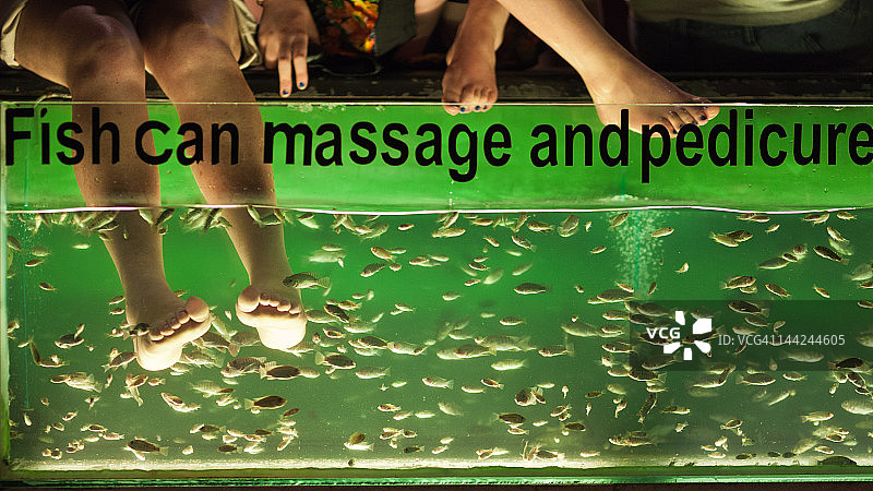 鱼类按摩图片素材