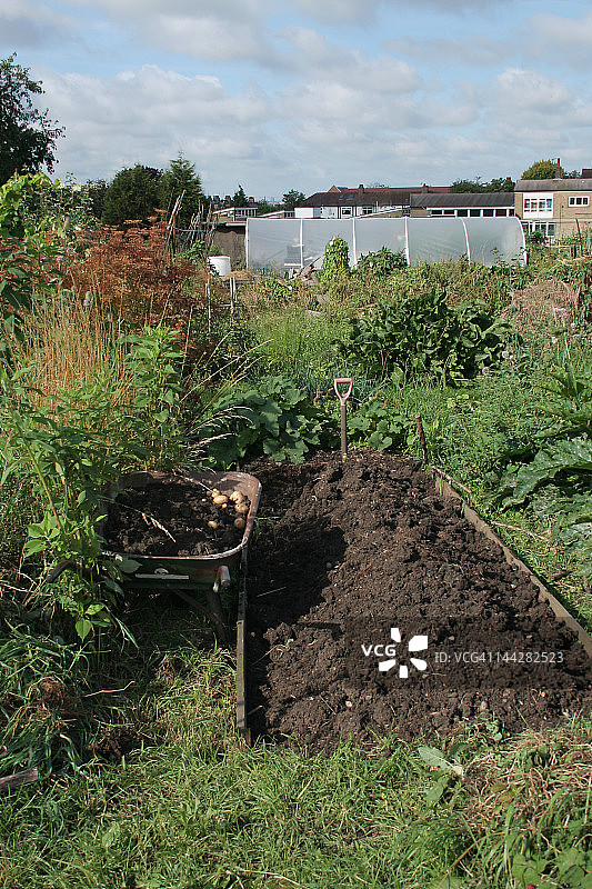 分配地图片素材