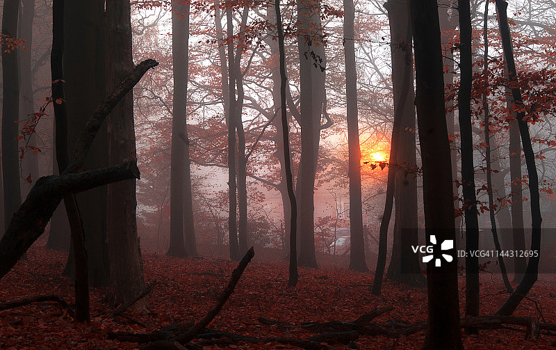 寻找自由图片素材