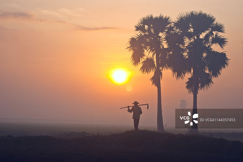 越南农业图片素材